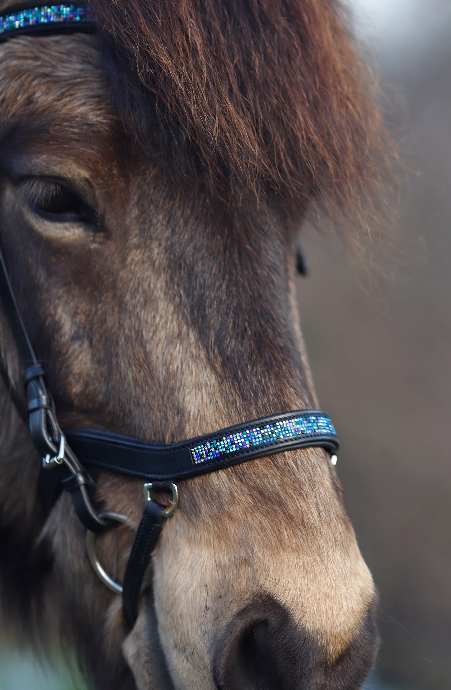 Trensenzaum "Alrun" l anatomisches Reithalfter l Blue Mosaic