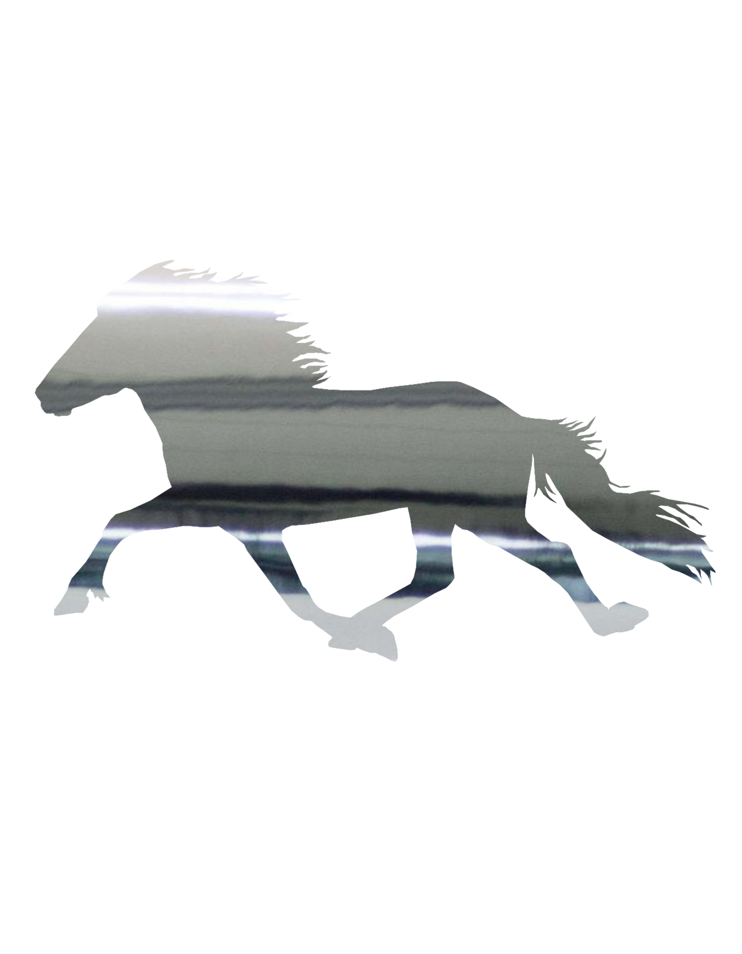 Aufkleber "Pacer"