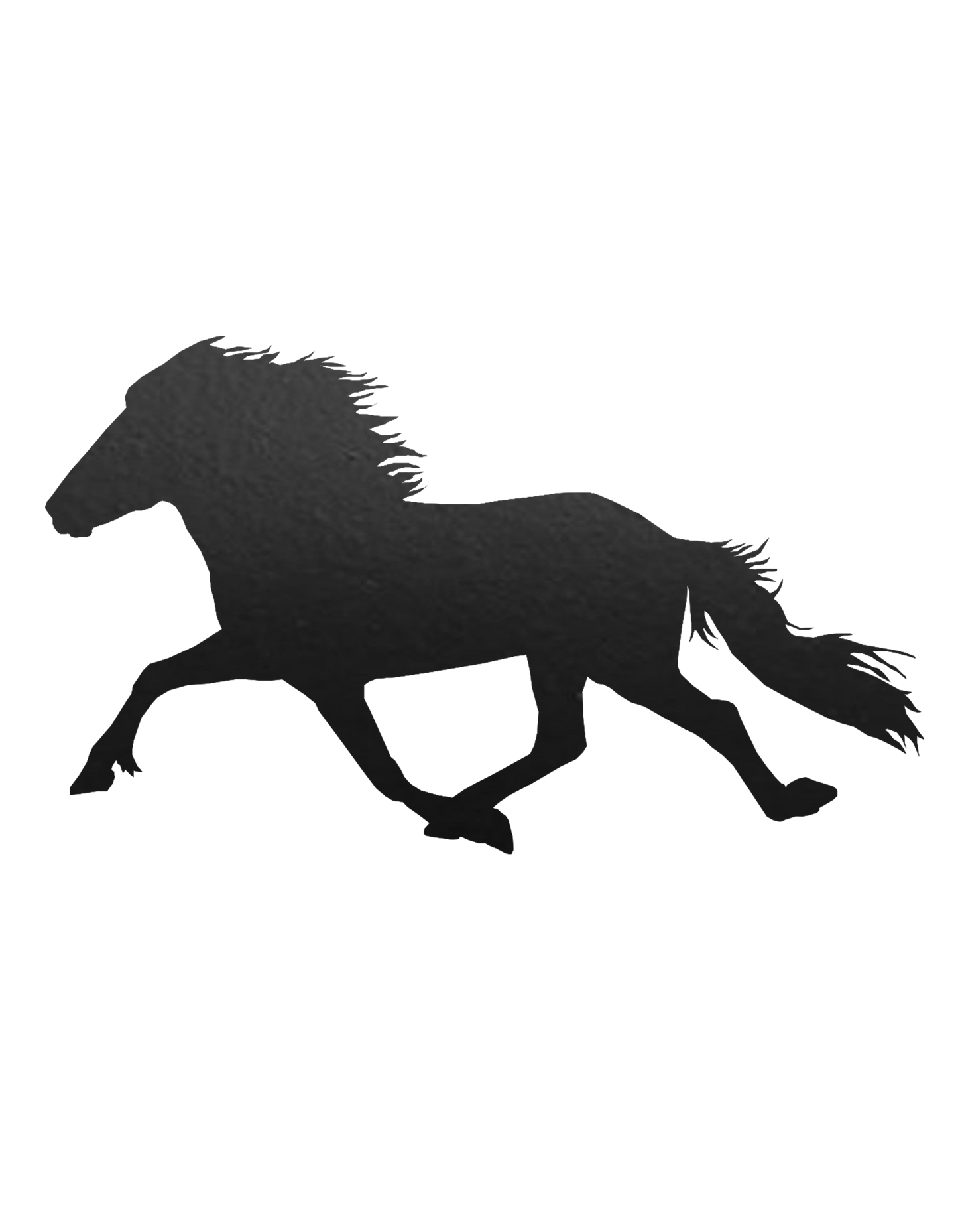 Aufkleber "Pacer"