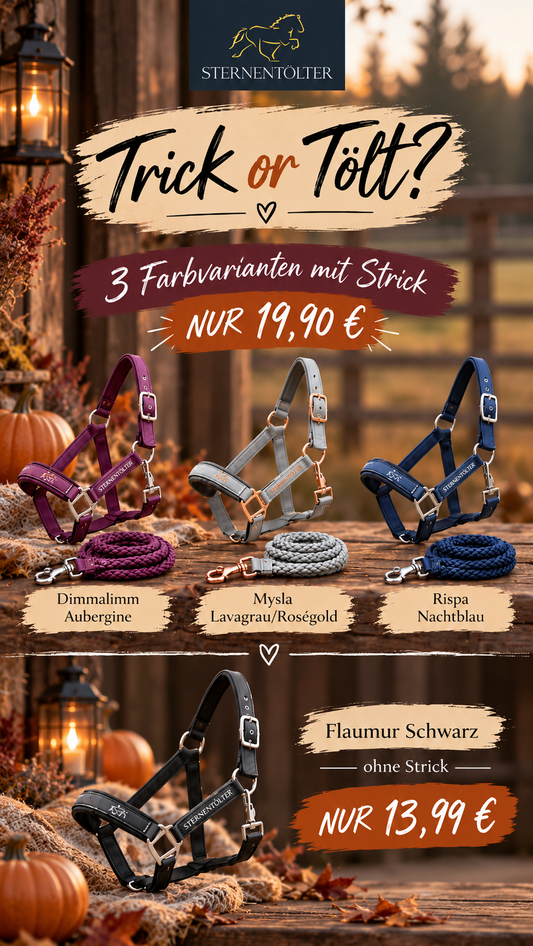 Halfter-Angebot - Limitierte Stückzahl
