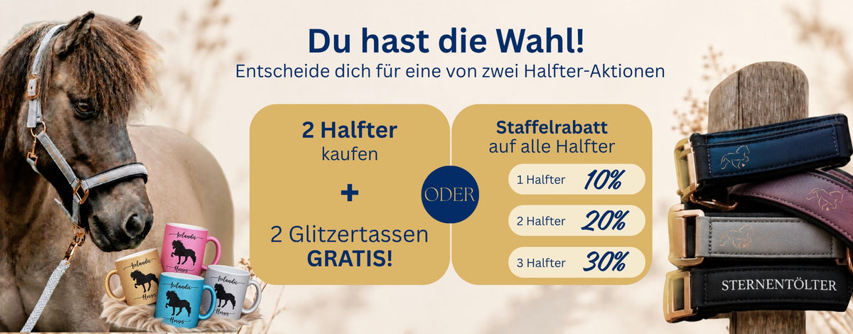 XXL Halfter Special - 2 gratis Glitzertassen