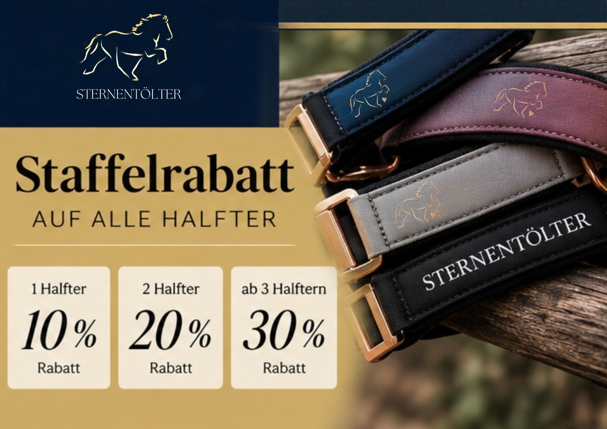 XXL Halfter Special - 2 gratis Glitzertassen