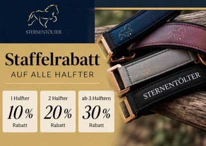 XXL Halfter Special - 2 gratis Glitzertassen