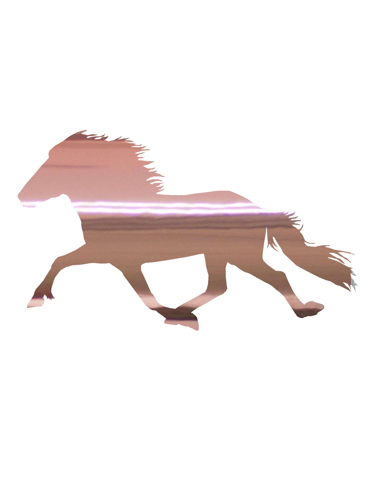 Aufkleber "Pacer"