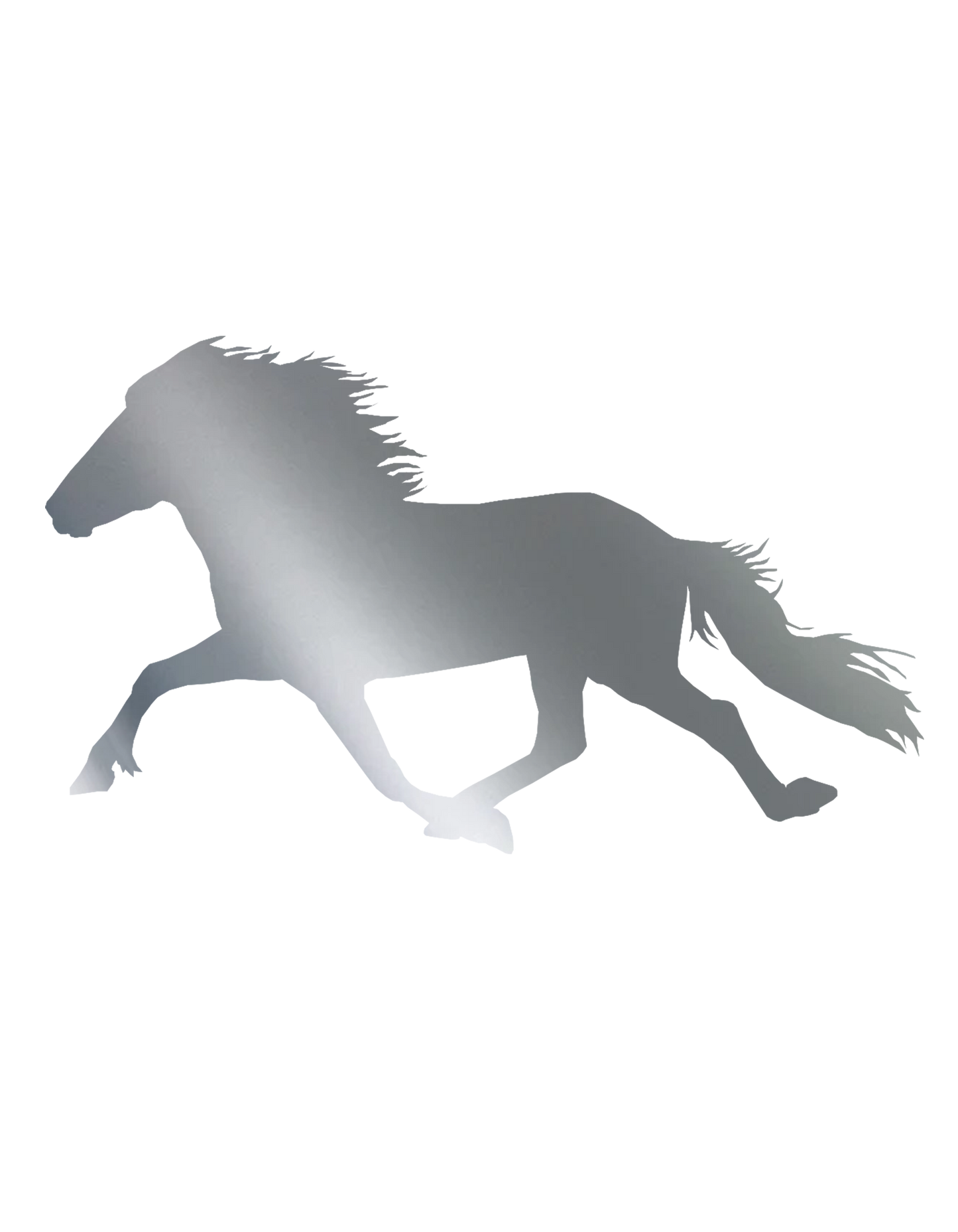 Aufkleber "Pacer"