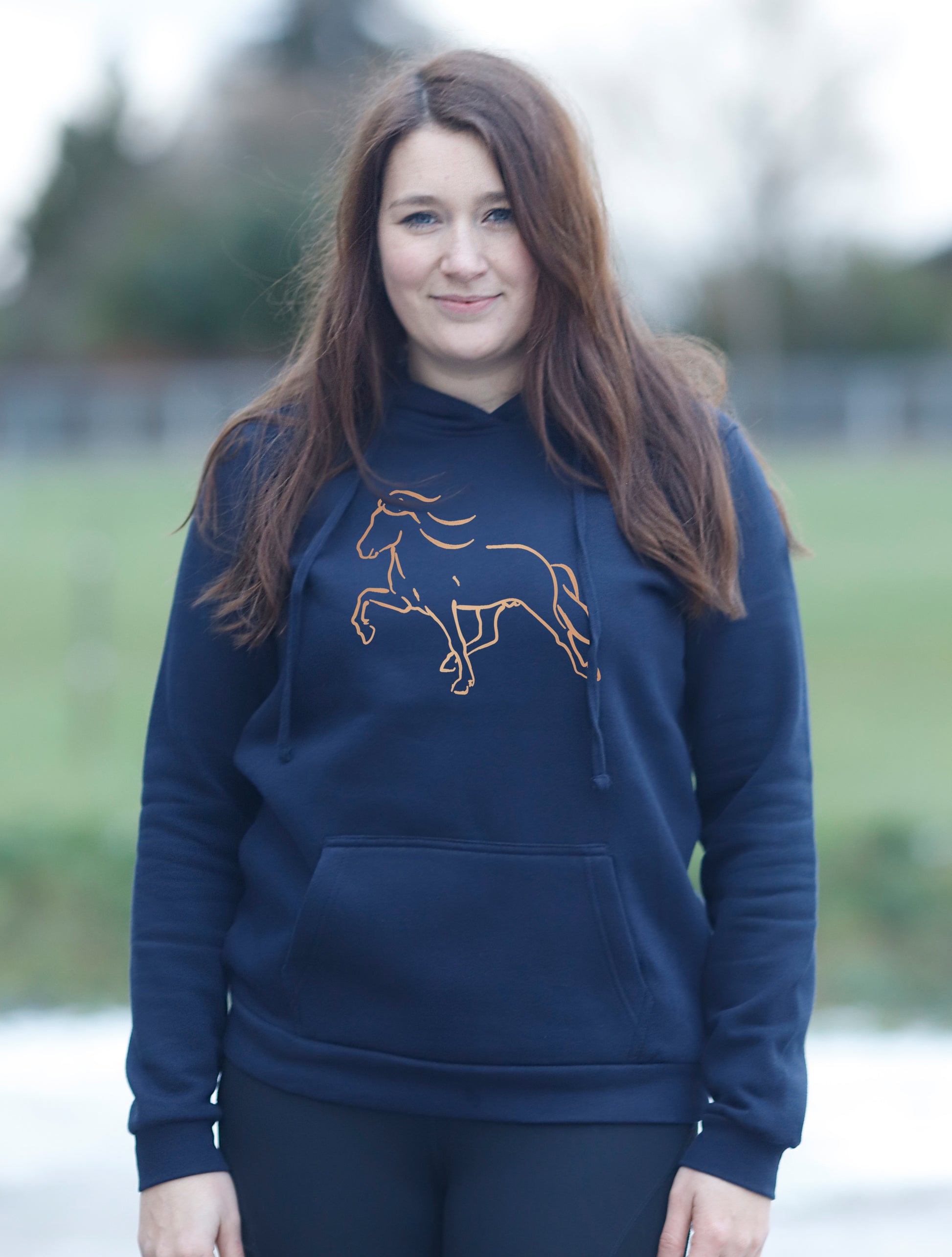 hoodie Isländer Islandpferd Tölter Sternentölter