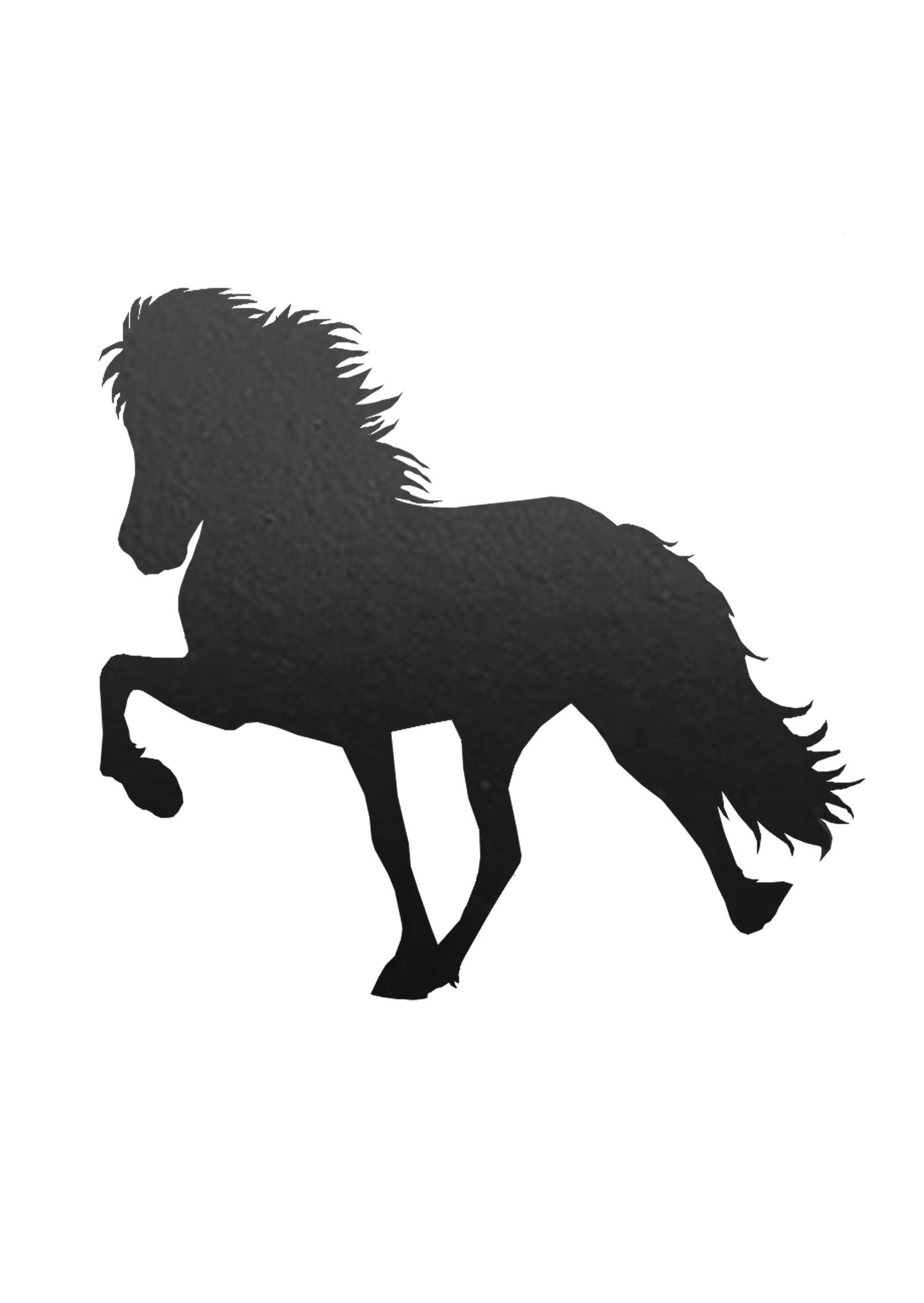 Aufkleber "Hjalti"