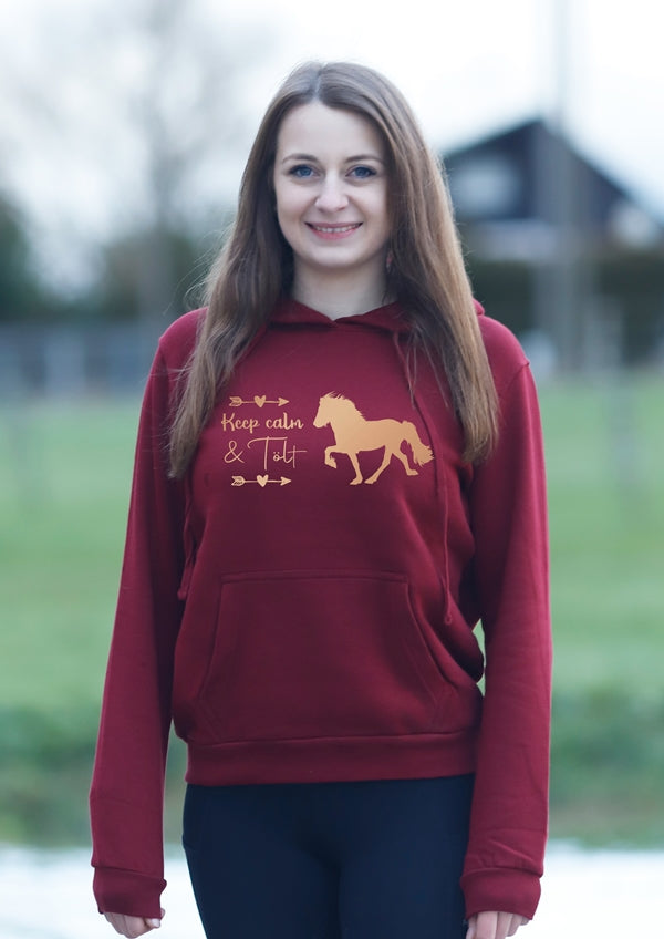 Sternentölter Pullover Hoodie Isländer Islandpferd Tölter Icelandic Horses Sternentölter