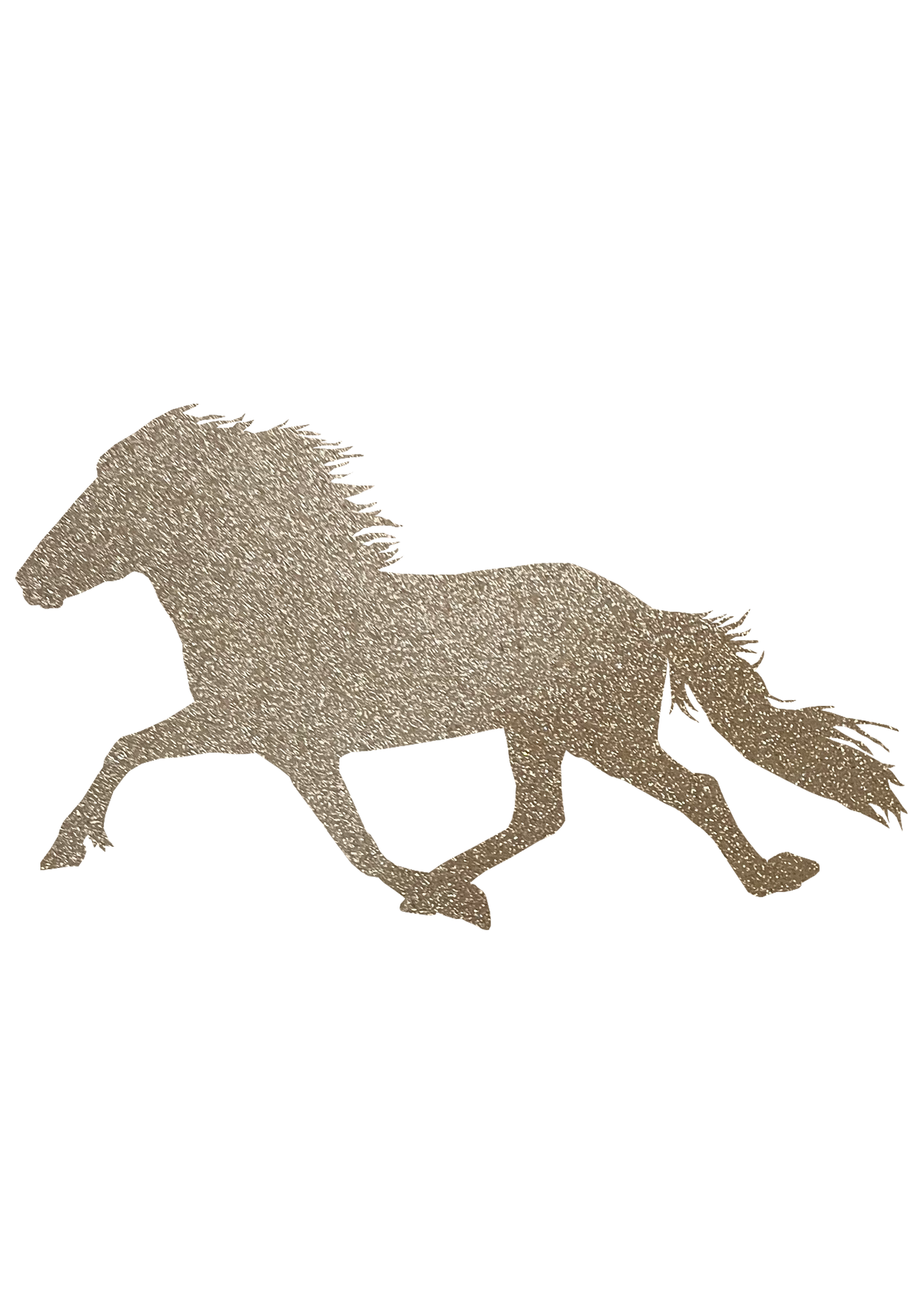 Aufkleber "Pacer"